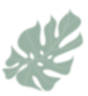 sticker leaf blurred