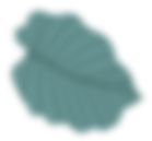 sticker leaf blurred